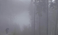 Bigfoot dans le brouillard.