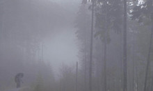 Bigfoot dans le brouillard.