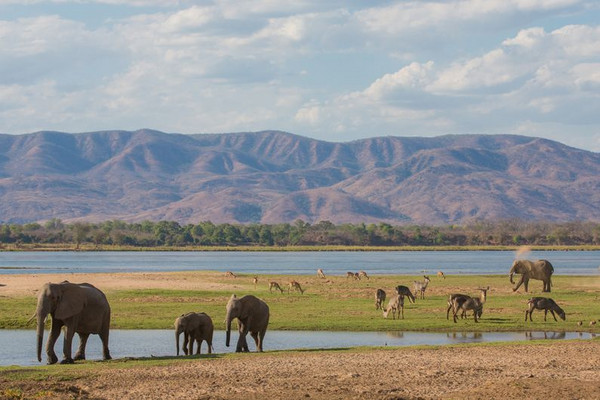 Montage et lac d'Afrique avec éléphants et gazelles.