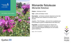 Affiche de la Monard.