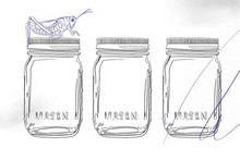 Sauterelles dans des bocaux.