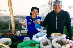 Des agriculteurs vendent leurs céréales et légumineuses andines au marché agroécologique d’Ayllukunapak à Otavalo, en Équateur. Crédit : Ana Deaconu