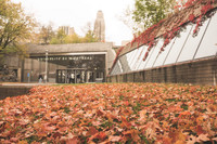 Métro Université de Montréal l'automne.