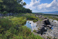 Photo végétation, rochers et fleuve.