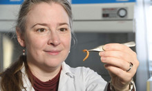 Marie-Odile et un insecte.