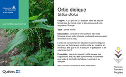 Affichette sur l'ortie.