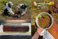 Échantillons de tourbières.