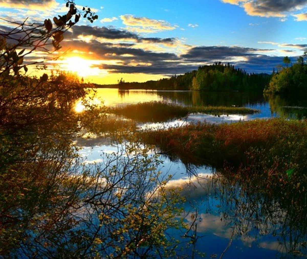 Marais au soleil levant.
