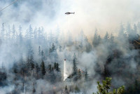 Feu de forêt.