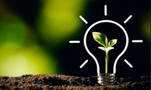 Dessin d'ampoule dans la nature.