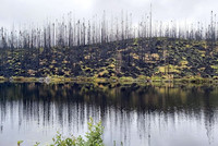 Lac et terre dévasté par le feu.