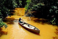 Habitant en canot sur rivière en Amazonie.