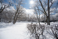 Vue de la tour à travers la neige et les arblres.