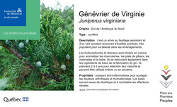 Affichette du Genevrier.