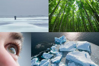 Glacier, forêt, oeil.