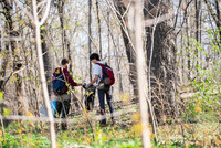 Deux étudiants dans un boisée ramassant les déchets.