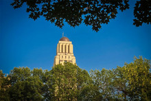 Vue de la tour de l'UdeM parmi les arbres.