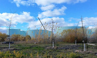 Usines raffinerie.