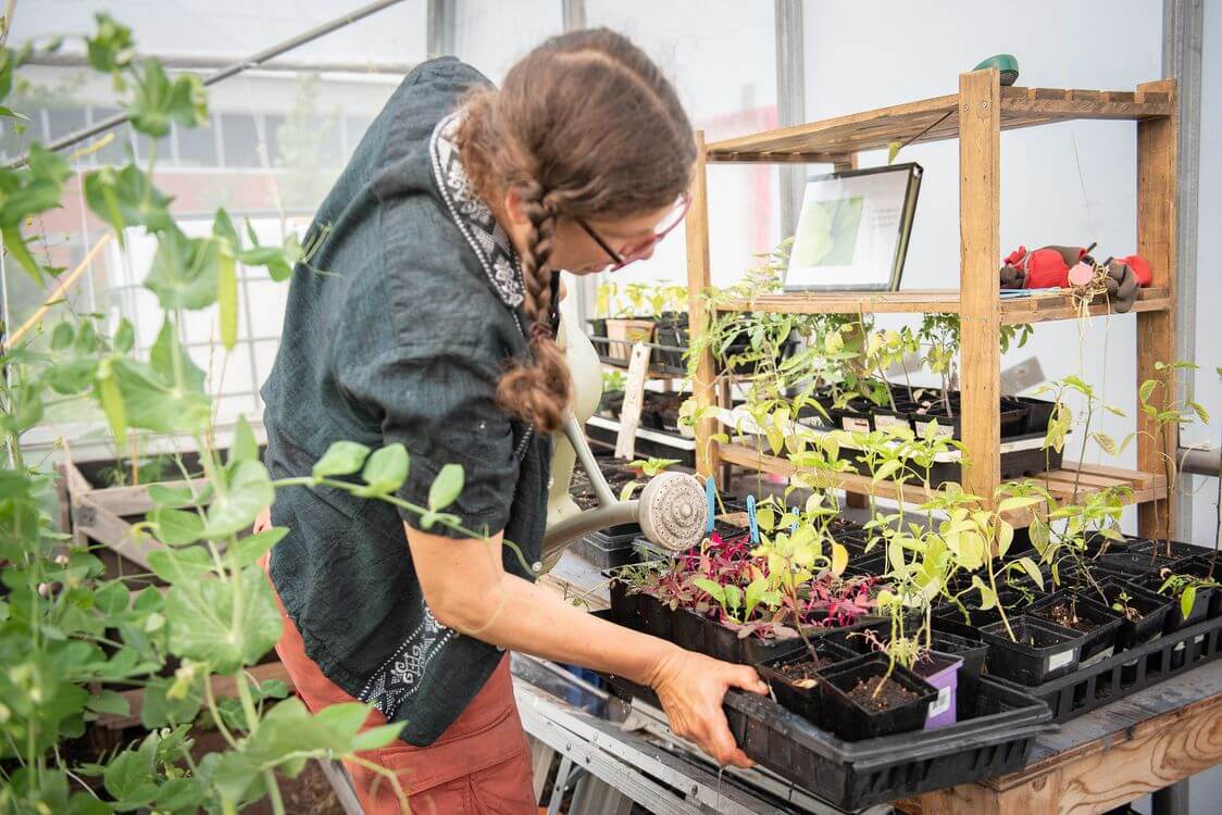 Étudiante prenant soin de plantes.