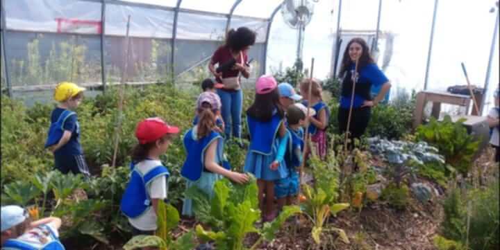 Des enfants dans la serre.