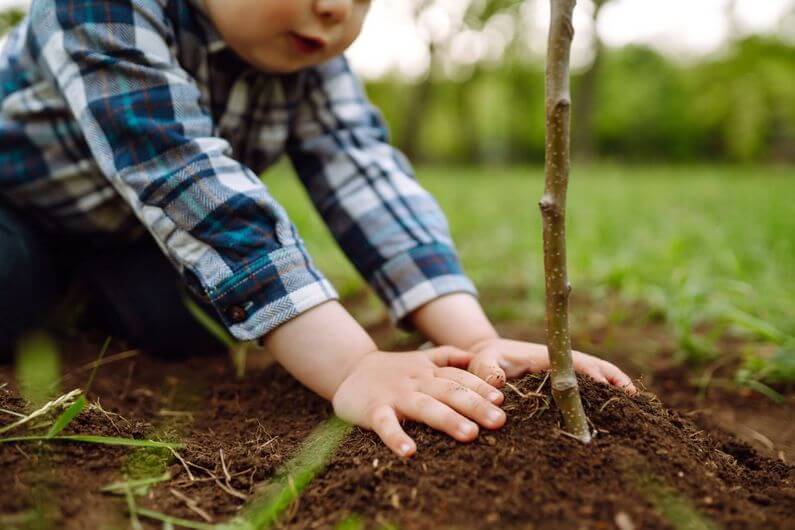 Enfant plantant un arbre.