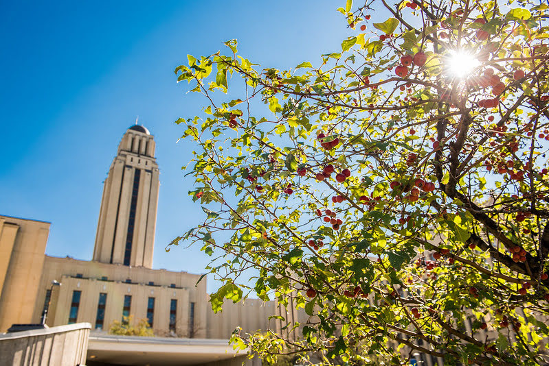 Tour UdeM avec arbre et soleil.