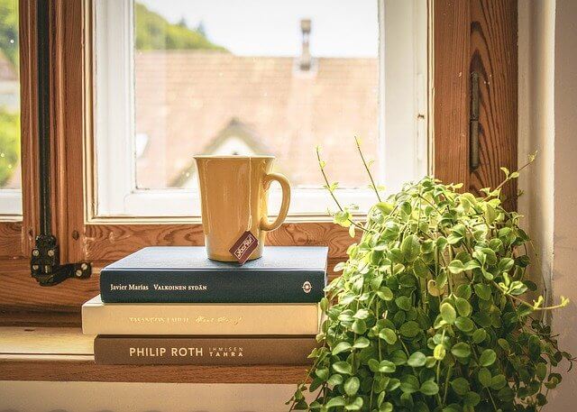 Tasse, plante et livres devant fenêtre.