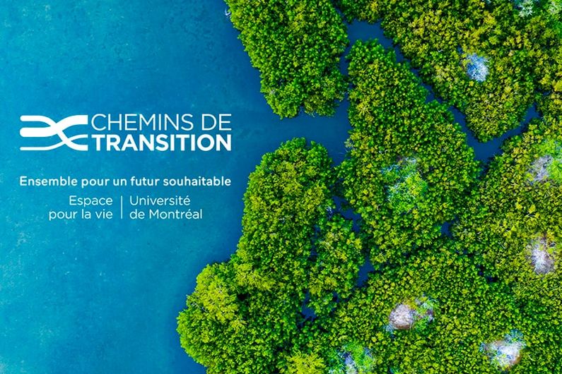 Tallus de verdure sans l'océan-Chemins de transition, ensemble pour un futur souhaitable-Espace pour la vie et Université de Montréal.