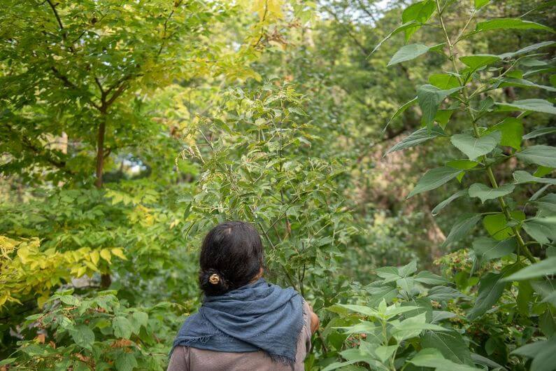 Femme en Forêt.