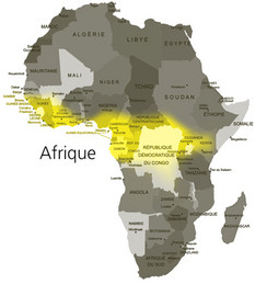 La partie de la carte en jaune représente approximativement les territoires africains où ont été effectués les prélèvements d'ADN auprès des populations d'agriculteurs et de chasseurs-cueilleurs.